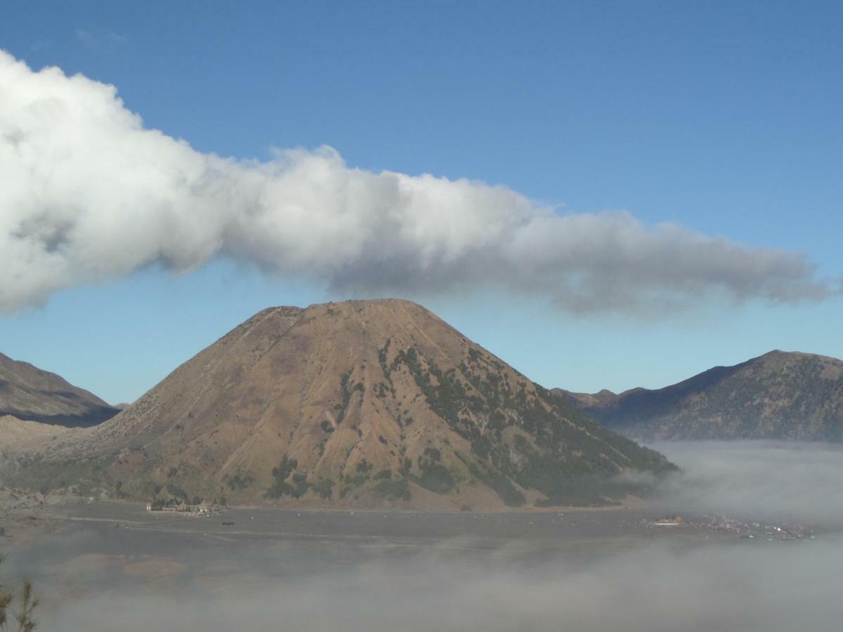 Tengger Indah Homestay Bromo Buitenkant foto